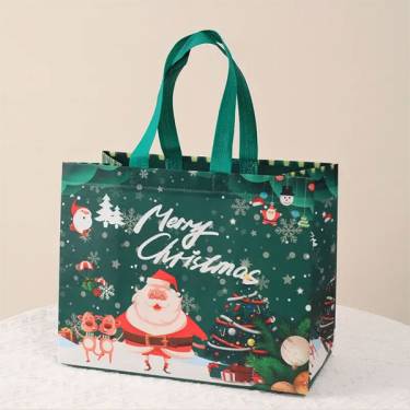 Non Woven Box Bags Manufacturers in Porompat