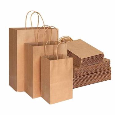 Paper Carry Bags Manufacturers in Ahmednagar