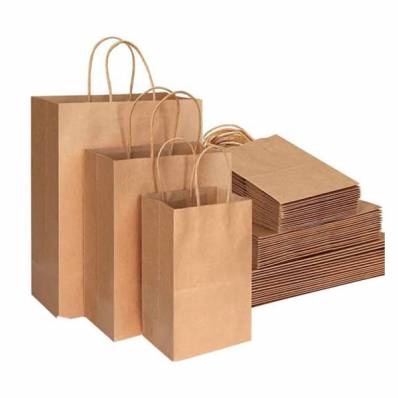 Paper Carry Bags Manufacturers in Ahmednagar